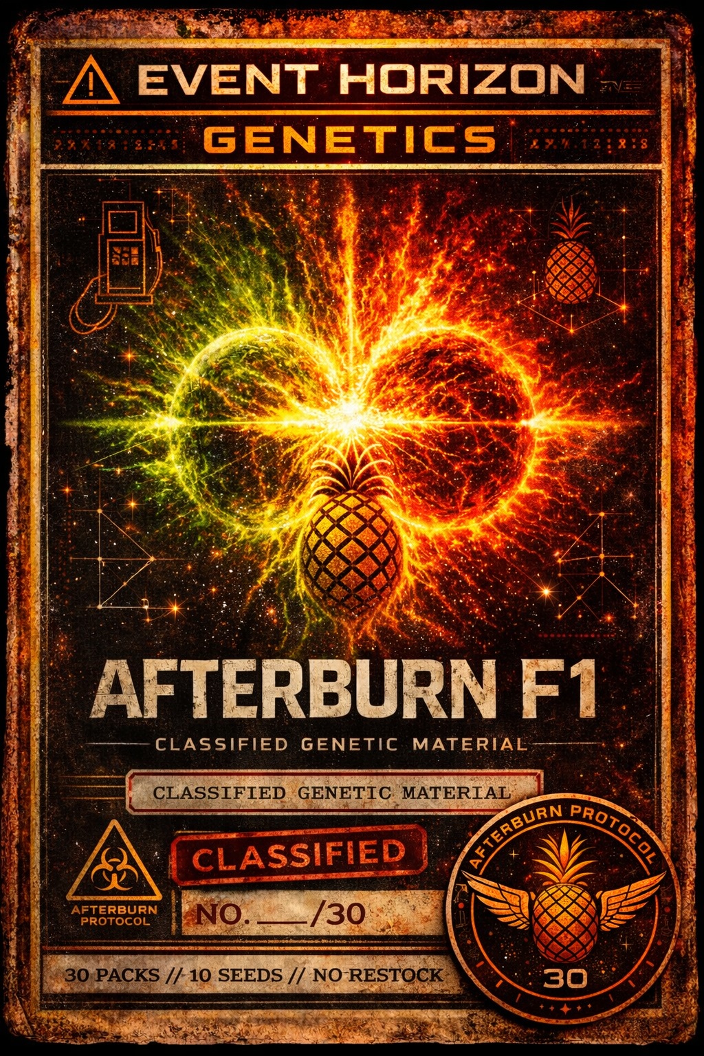 AFTERBURN F1